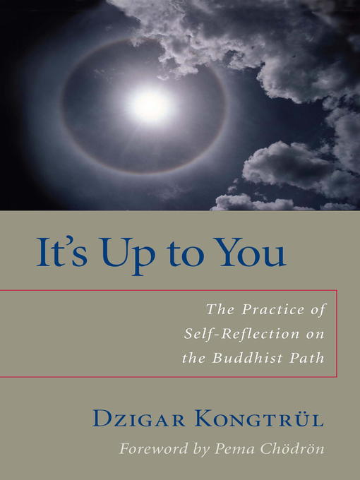 Title details for It's Up to You by Dzigar Kongtrul - Available